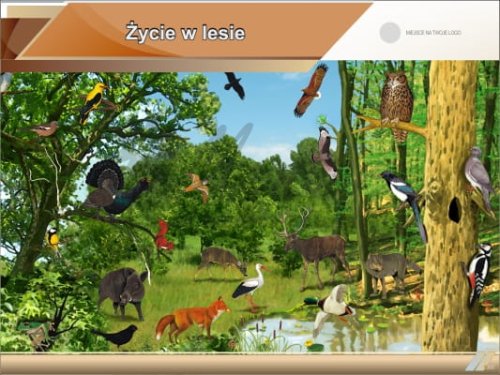 Tablica edukacyjna "Życie w lesie" | Dobra Cena | Sklep Online | Mentor