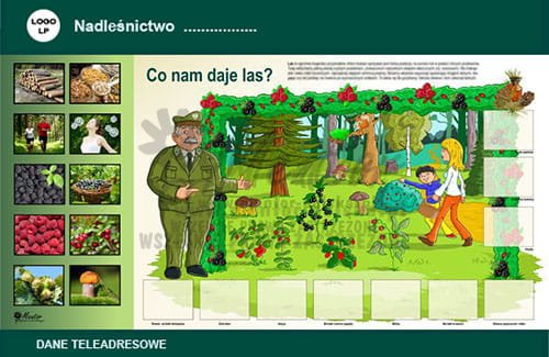 Tablica magnetyczna "Co nam daje las? - wersja ilustrowana" MentorSklep