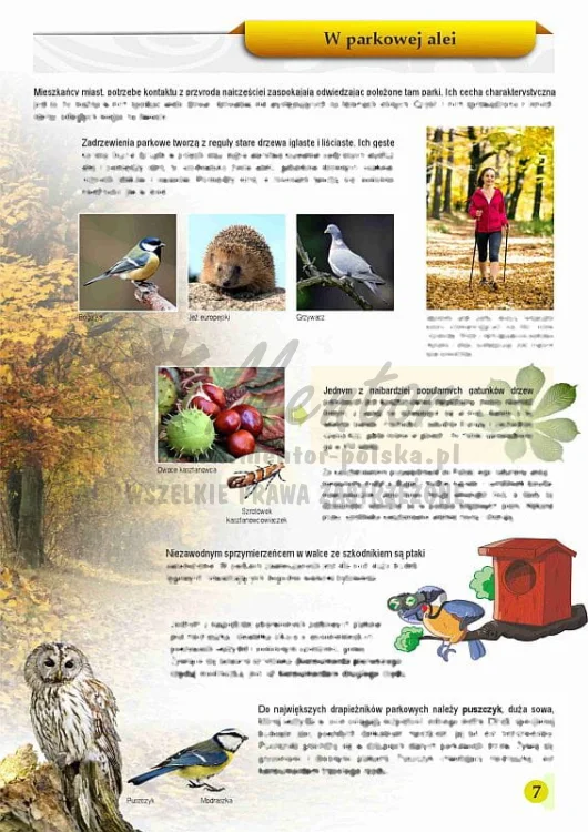 ZESZYT EDUKACYJNY "Kto kogo zjada"