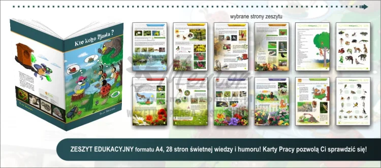 ZESZYT EDUKACYJNY "Kto kogo zjada"