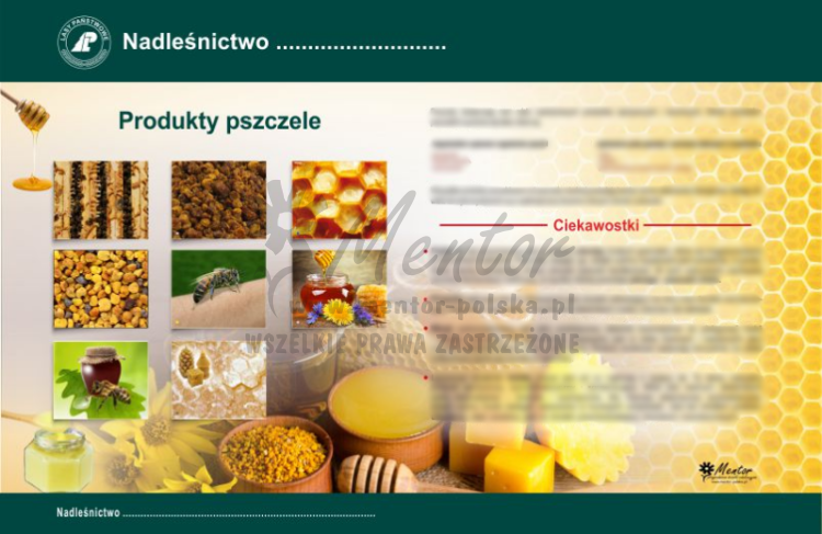 Tablica magnetyczna "Produkty pszczele"