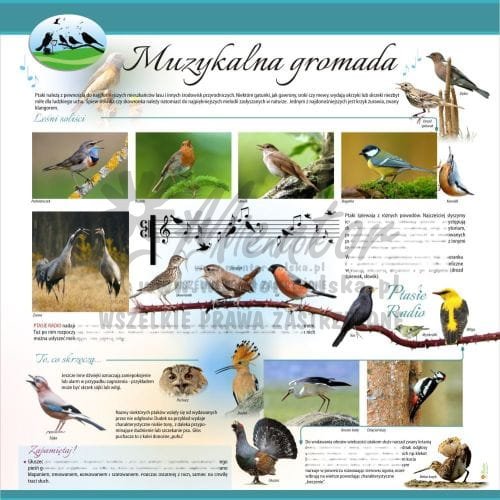 Muzykalna gromada.jpg