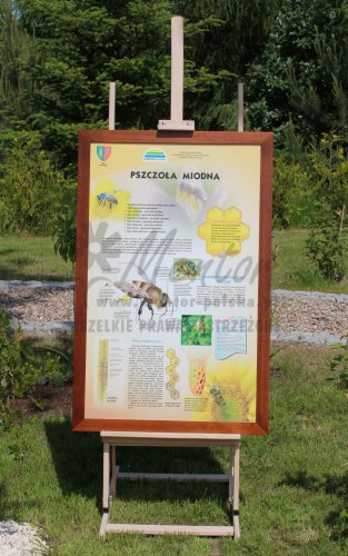 Tablica pszczelarska "Pszczoła miodna" w ramce drewnianej, prezentowana w terenie na sztaludze drewnianej, dużej.
