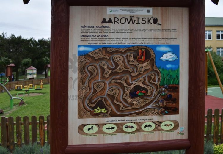 "Mrowisko" - Labirynt Natury