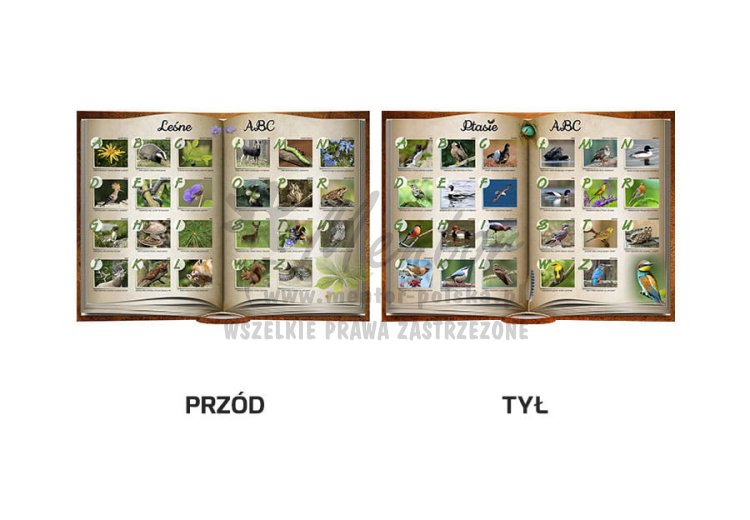 Tablica kształtowa "Leśne ABC / Ptasie ABC"