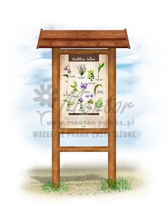 Tablica "Rośliny leśne", w przykładowym stelażu drewnianym