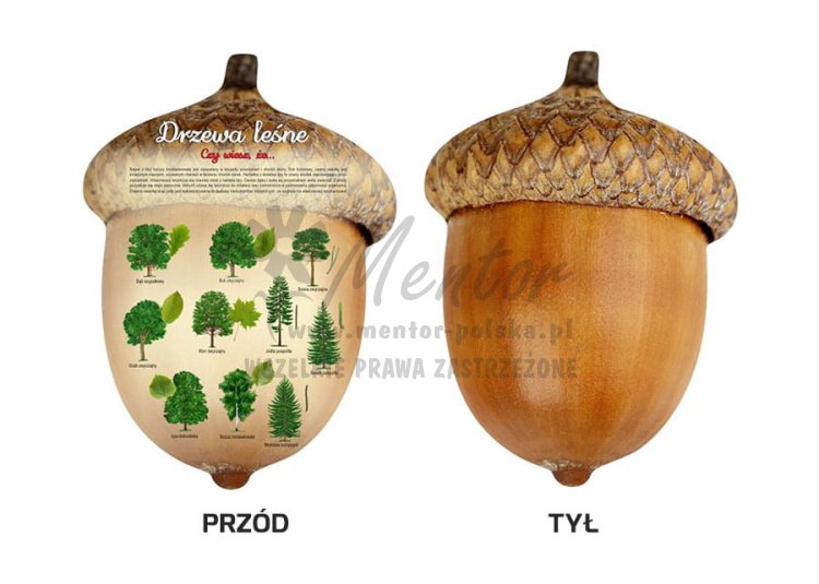 Tablica kształtowa "Drzewa leśne"