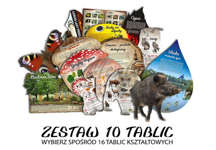 Zestaw 10 tablic kształtowych