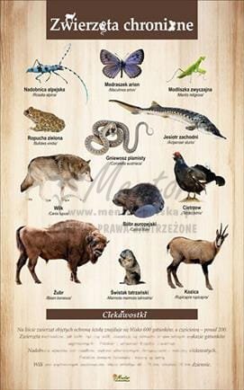 d09633b273de7574878cde8303411600 (Copy).jpg