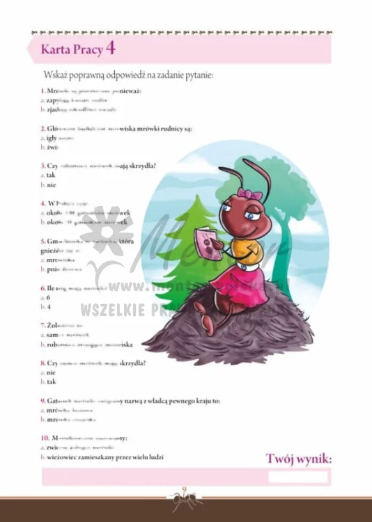 09.jpg