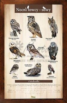Tablica "Nocni łowcy - sowy" w oprawie drewnianej, kolor brąz