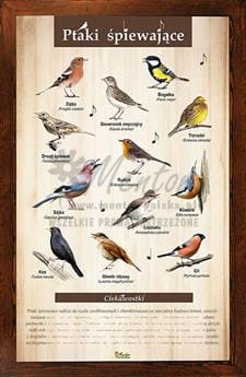 Tablica "Ptaki śpiewające" w oprawie drewnianej, kolor brąz