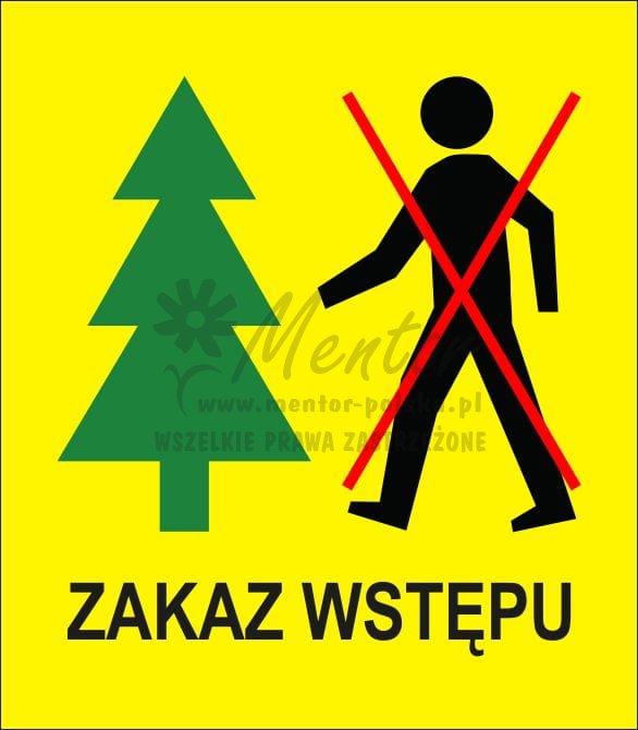 POJEDYNCZY GÓRNY.jpg