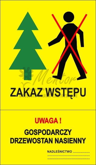 Gospodarczy drzewostan nasienny