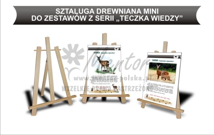 Sztaluga drewniana Mini do zestawu "Teczka wiedzy"
