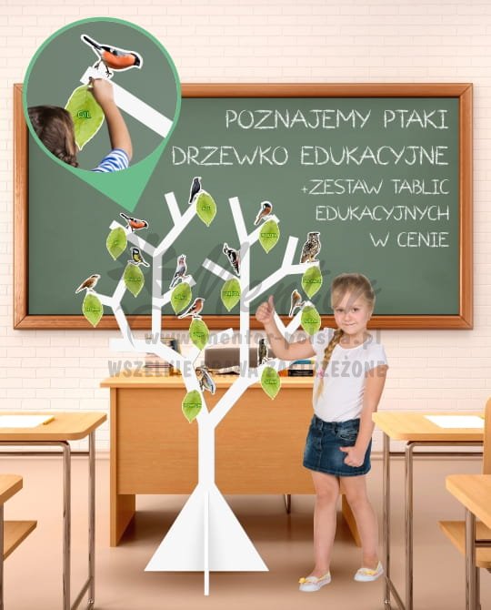Ptasi raj - Drzewko edukacyjne - (wizualizacja poglądowa)