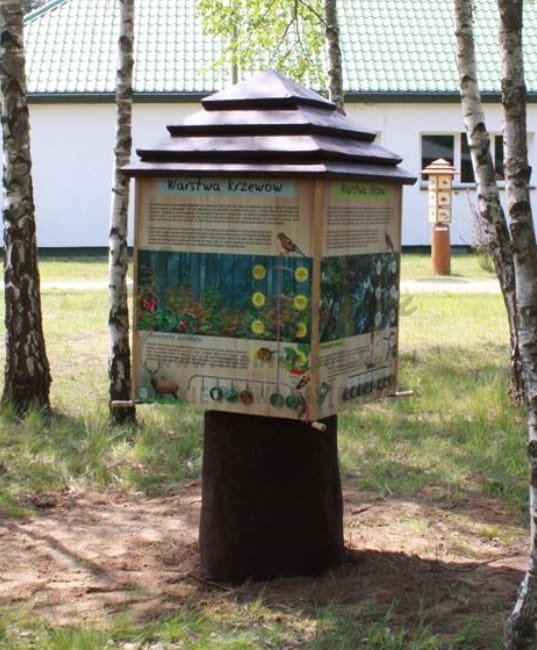 MULTI LABIRYNT - Budowa Warstwowa Lasu - realizacja w terenie