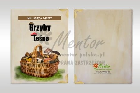 Mini Księga Wiedzy - Grzyby - wizualizacja poglądowa