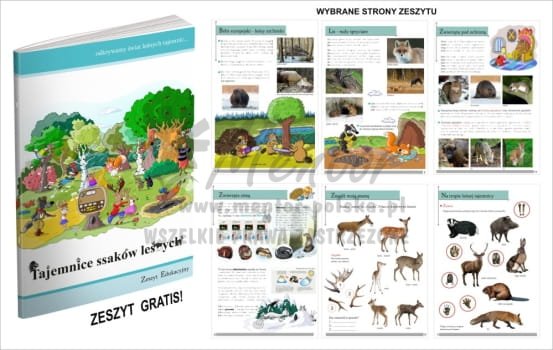 Zeszyt edukacyjny