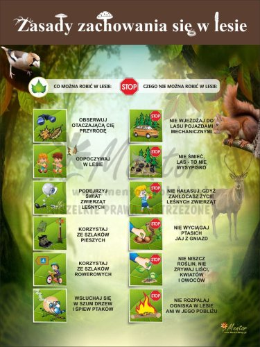 Zasady zachowania się w lesie II