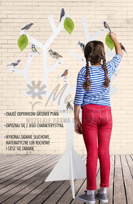 Ptasi raj - Drzewo edukacyjne - (wizualizacja poglądowa)