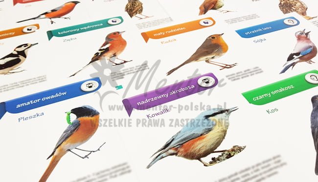 Pakiet edukacyjny - Karty pracy - (wizualizacja poglądowa)