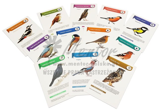 Pakiet edukacyjny - Karty pracy - (wizualizacja poglądowa)
