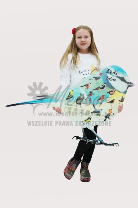 Tablica kształtowa "Ptaki"