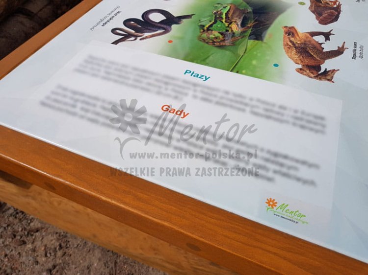 Ławostół edukacyjny