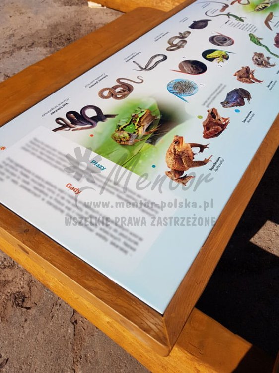 Ławostół edukacyjny