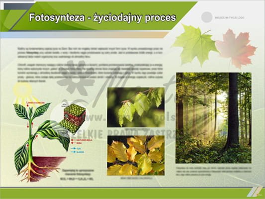 Tablica edukacyjna "Fotosynteza - życiodajny proces"