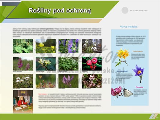 Tablica edukacyjna "Rośliny pod ochroną"