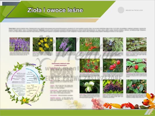 Tablica edukacyjna "Zioła i owoce leśne"
