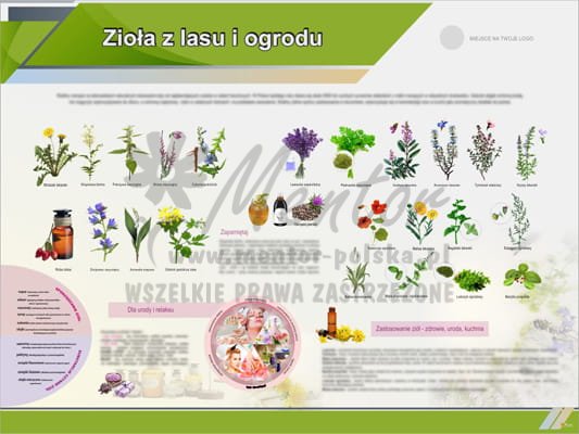 Tablica edukacyjna "Zioła z lasu i ogrodu"