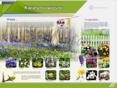 Tablica edukacyjna "Kwiaty na wiosnę"