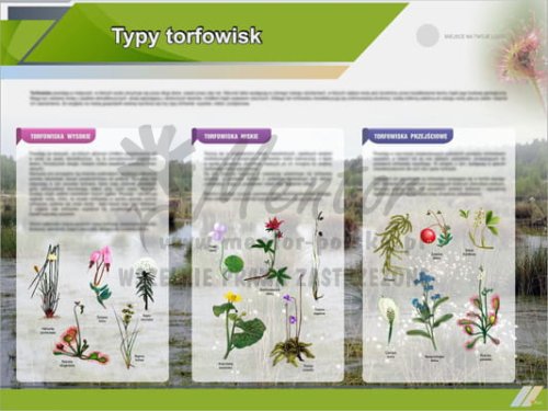 Tablica edukacyjna "Typy torfowisk"