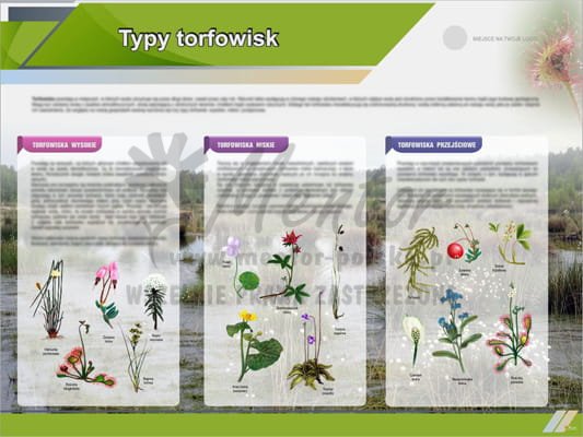 Tablica edukacyjna "Typy torfowisk"