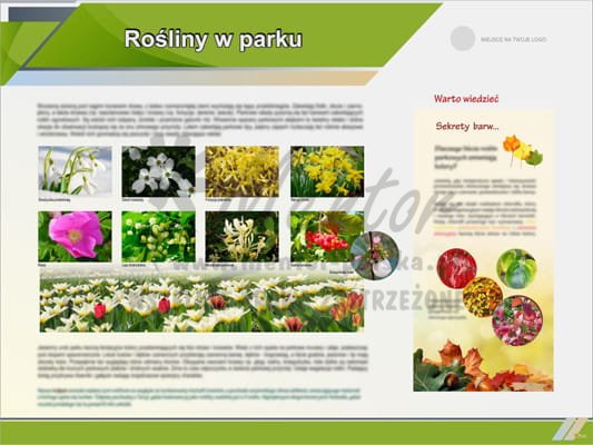 Tablica edukacyjna "Rośliny w parku"