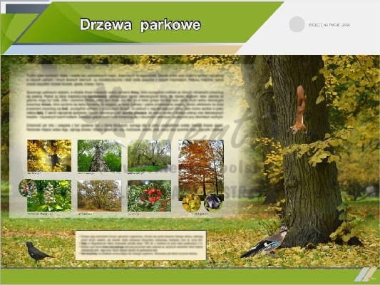 Tablica edukacyjna "Drzewa parkowe"