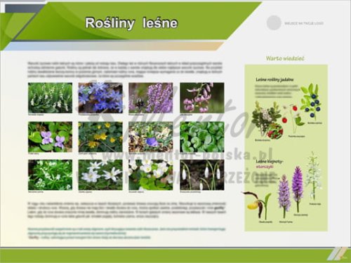 Tablica edukacyjna "Rośliny leśne"