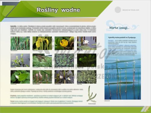 Tablica edukacyjna "Rośliny wodne"