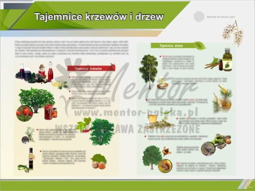 Tablica edukacyjna "Tajemnice krzewów i drzew"
