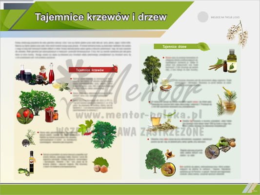 Tablica edukacyjna "Tajemnice krzewów i drzew"