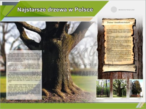 Tablica edukacyjna "Najstarsze drzewa w Polsce"