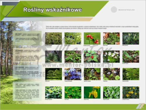 Tablice edukacyjne "Rośliny wskaźnikowe"