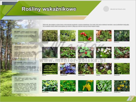 Tablice edukacyjne "Rośliny wskaźnikowe"
