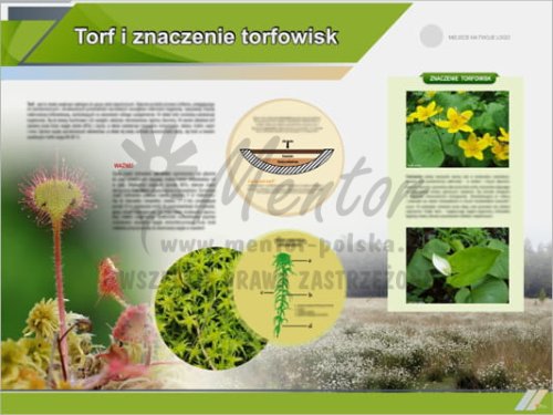 Tablica edukacyjna "Torf i znaczenie torfowisk"