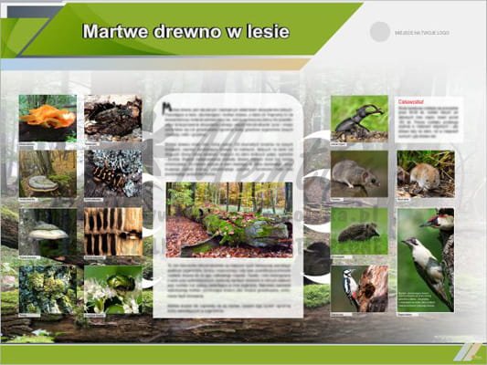 Tablica edukacyjna "Martwe drewno w lesie"