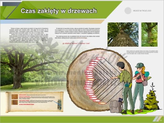 Tablica edukacyjna "Czas zaklęty w drzewach"