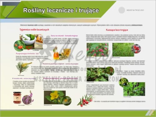 Tablica edukacyjna "Rośliny lecznicze i trujące"